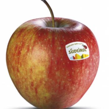 Südtiroler Apfel g.g.A. - Geschützte geografische Angabe seit 2005 - (c) Holger Albrich