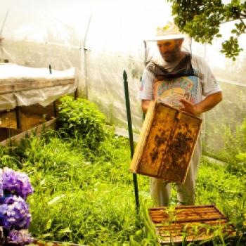 Die Bauern des Valsugana produzieren mit Herz und Gefühl hochwertige Lebensmittel in den idyllischen Bergdörfern - (c) Storytravelers TVB Valsugana Lagora i