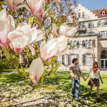 Ostererlebnisse für alle Sinne in Konstanz am Bodensee - (c) MTK Dagmar Schwelle