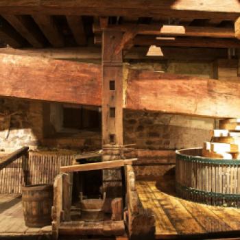 Der Nikolaihof ist das älteste Weingut Österreichs. Auch die alte Baumpresse wird noch genutzt. - (c) Nikolaihof