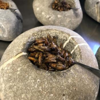 Grillen mal anders: Rueda & Insekten