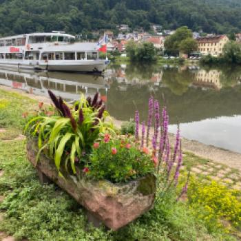Neckargemünd - (c) Thomas Rentschler