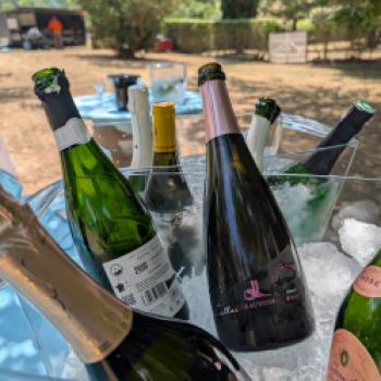 Languedoc - Mediterranes Weinland voller Dynamik - (c) Carola Faber