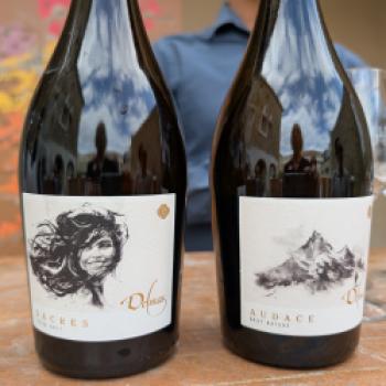Languedoc - Mediterranes Weinland voller Dynamik - (c) Carola Faber
