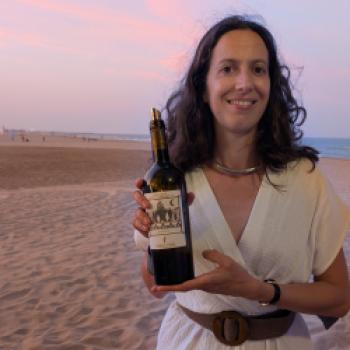 Languedoc - Mediterranes Weinland voller Dynamik - (c) Carola Faber