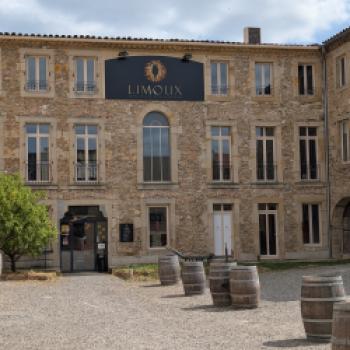 Languedoc - Mediterranes Weinland voller Dynamik - (c) Carola Faber