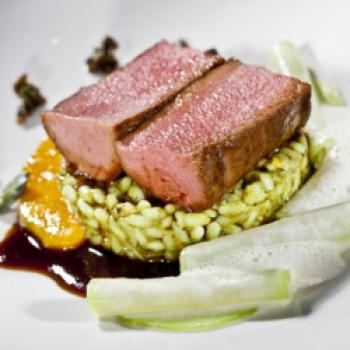 Die richtigen Beilagen erhöhen den Wildgeschmack, wie hier Kernölrisotto, mit Muskatkürbis und Rahmkohlrabi - (c) Werner Krug mit freundlicher Genehmigung der GEmeinschaft Kürbiskernöl g.g.A.