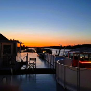 Nicko Cruises - Die Leichtigkeit und Ruhe einer Flussschifffahrt - Passau – Linz – Wien – Budapest – Bratislava – Marbach – Passau – (c) Gabi Dräger