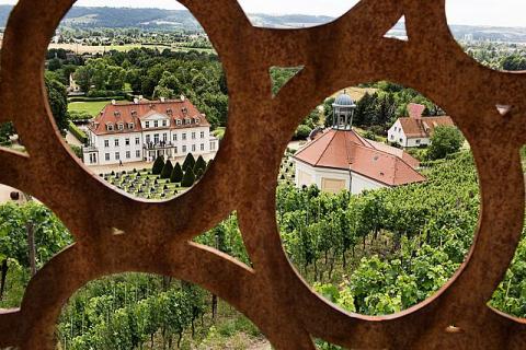 Eine Schlössertour mit Weingenuss durch das sächsische Dresden Elbland - (c) Gabi Dräger