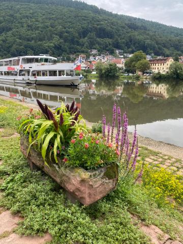 Neckargemünd - (c) Thomas Rentschler