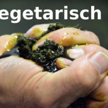 Steirische Rezepte mit Kürbiskernöl - Vegetarisch - (c) Gabi Vögele