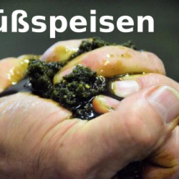 Steirische Rezepte mit Kürbiskernöl - Süßspeisen - (c) Gabi Vögele