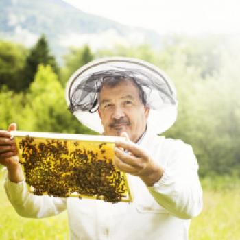 - (c) Wolfgang Hummer - Arge Slow Food Travel