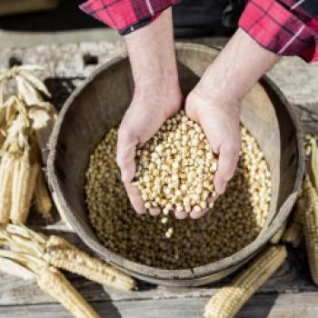 Mit dem Slow Food Kärnten Guide 2021 auf kulinarischer Entdeckungsreise im Süden Österreichs - (c) Wolfgang Hummer