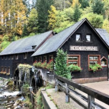 Der Schwarzwald ist für Aktivurlauber und Genießer ein absolutes Paradies - (c) Gabi Dräger