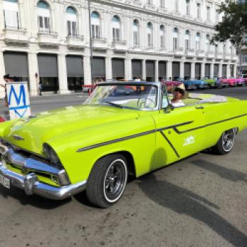 Neben dem kleinen Park „Parque Central“ in Havanna, der von Königspalmen gesäumt ist, stehen mehr als 20 bonbonfarbene Oldtimer aufgereiht, die für eine Stadtrundfahrt gebucht werden können - (c) Gabi Dräger