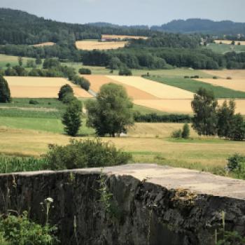 Hollerhöfe – Der Charme vieler winziger Bauernhöfe - Wälder, Wiesen, Felder eine Burgruine und ein Hotel aus vielen kleinen Bauernhöfen - (c) Gabi Dräger