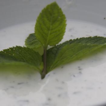 Joghurt-Minze-Soße - Passt toll zu Cevapcici mit Lamm- und Kalbsfleisch, Gegrilltem, Kurzgebratenem und Puffern, wie z. B. zu Zucchinipuffern. Die Joghurt-Minze-Soße ist eine gute Alternative für Tsatsiki - (c) Jörg Bornmann