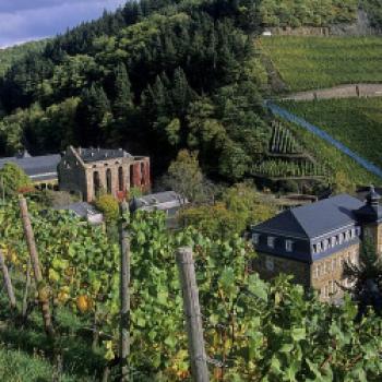 Die Ahr, hier Kloster Mariental, gehört zu den kleinsten Deutschen Weinbaugebieten, hat dabei jedoch die größte, zusammenhängende Rotweinanbaufläche Deutschlands - (c) Deutsches Weininstitut