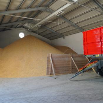 In Trockenhallen wird die Feuchtigkeit der Reiskörner von rund 25% auf 13% reduziert - (c) Maren Recken