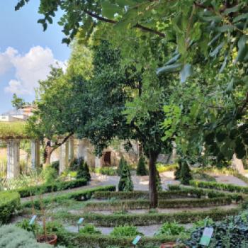 Kennen Sie Salerno? Nein, dann sollten Sie es kennenlernen, das mediterranes Stadtjuwel zwischen zwei Naturschönheiten - (c) Susanne Wess