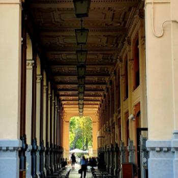 Kennen Sie Salerno? Nein, dann sollten Sie es kennenlernen, das mediterranes Stadtjuwel zwischen zwei Naturschönheiten - (c) Susanne Wess