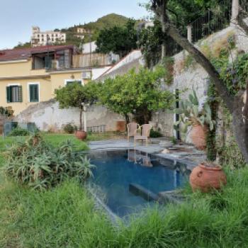 Kennen Sie Salerno? Nein, dann sollten Sie es kennenlernen, das mediterranes Stadtjuwel zwischen zwei Naturschönheiten - (c) Susanne Wess