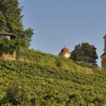 Das Herz des Schilcherlandes schlägt in Stainz - (c) Österreich Wein Marketing GmbH