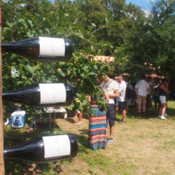 Mainschleife - Die Weinpräsentation der Ökowinzer auf der Vogelsburg bei Volkach gleicht einer wunderbaren Gartenparty - (c) Jörg Bornmann