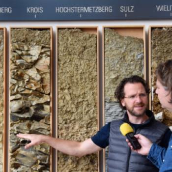 Im Gespräch mit Winzer Wolfgang Maitz (links) über die verschiedenen Lagen des Weingutes in der Südsteiermark – © Jörg Bornmann