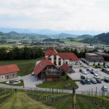 Taggenbrunn – das Weingut zwischen Alpen und Adria - (c) Jörg Bornmann