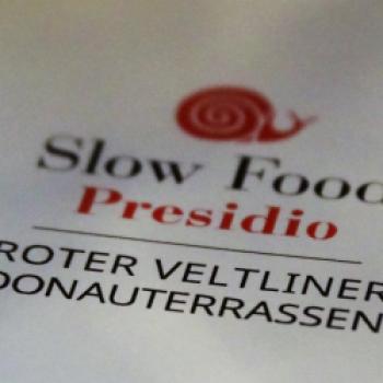 Das Kulinarik-Festival von Slow Food Roter Veltliner & Friends im Gut Oberstockstall - (c) Jörg Bornmann