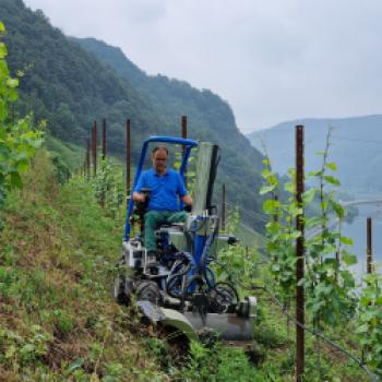Nachhaltiger Weinbau in Deutschland - (c) DWI