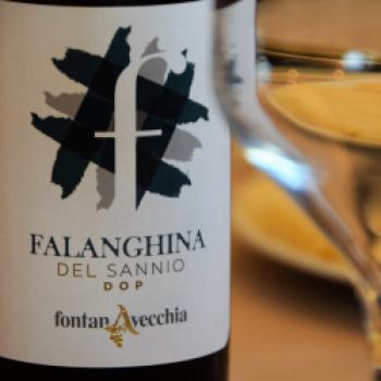 … und Weißwein aus der lokalen Falanghina-Traube - (c) Gabi Vögele
