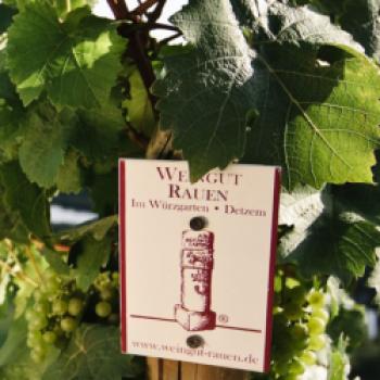 Der Sonderpreis für den besten Riesling-Sekt ging an das Weingut & Sektgut Rauen in Detzem an der Mosel für seinen 2020 Riesling Crémant brut - (c) Weingut Rauen