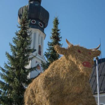 Der Salzburger Bauernherbst startet am Sonntag, den 27. August 2023 um 10:30 Uhr in Obertrum am See im Salzburger Seenland - (c) Salzburger Seenland
