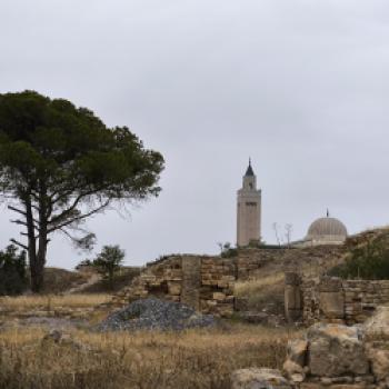 Tunis nachhaltig entdecken: Recycling als Chance für den Tourismus - (c) Philip Duckwitz