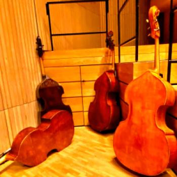 Anton Bruckner – Linz, St. Florian und Steyr feiern seinen 200. Geburtstag - (c) Gabi Dräger