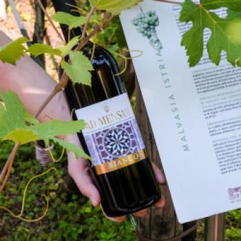 DOC Venezia - ein einzigartiger Weingarten lockt mit zwanzig gefährdete Rebsorte - (c) Consorzio Vini Venezian