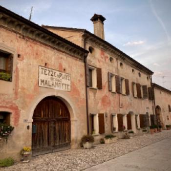DOCG Malanotte del Piave - von den Hügeln von Conegliano und Montello bis zum Hinterland der Stadt Venedig - (c) Consorzio Vini Venezia