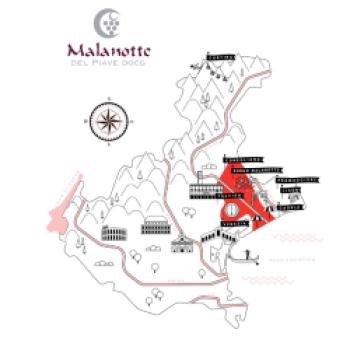 DOCG Malanotte del Piave - von den Hügeln von Conegliano und Montello bis zum Hinterland der Stadt Venedig - (c) Consorzio Vini Venezia