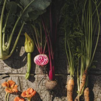 „Quo Vadis Sterneküche“ mit dem Sternekoch Dominik Wachter - (c) Wachter Foodbar