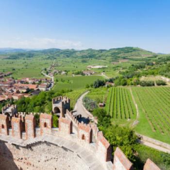 Weinlesezeit bei HEVA – Heroes of Europe Volcanic Agriculture - (c) Soave