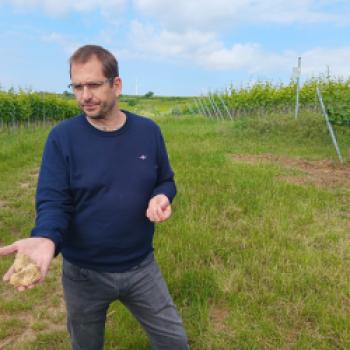 Weiß, dass Terroir mehr ist als nur Boden - Nordpfalzwinzer Axel Meiss aus Kindenheim - (c) Klaus Pfenning