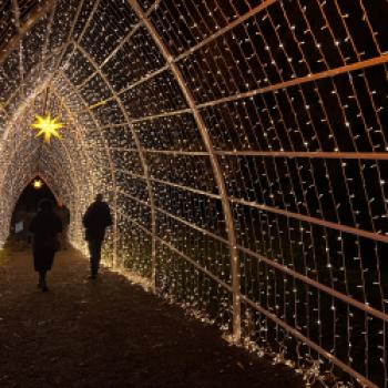 Konstanzer Winterzauber & Weihnachtsmarkt am Bodensee - (c) MTK/Theresa Anrdt