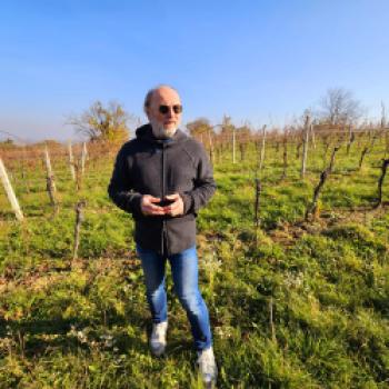 Roland Velich, der Mastermind von REIMAGINE, in seinen Weinbergen - (c) Klaus Pfenning