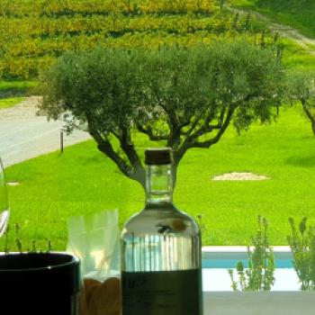 Collio: Eine verborgene Perle der Weinwelt im Friaul - (c) Susanne Wess