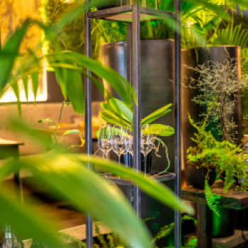 Ein kulinarischer Hotel-Ankerplatz mit Sterne-Restaurant - das Living Hotel Düsseldorf - (c) Living Hotels