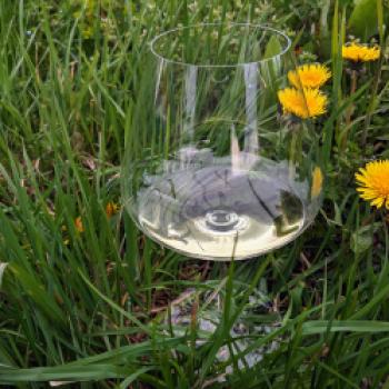Ein Tribut an strukturbetonte Weine - (c) Carola Faber