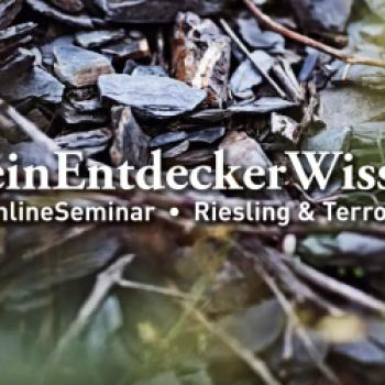 Neue WeinEntdeckerWissen-Seminare - Am 6. Februar um 19 Uhr setzt das Deutsche Weininstitut (DWI) seine beliebte Online-Seminarreihe for - (c) DWIt